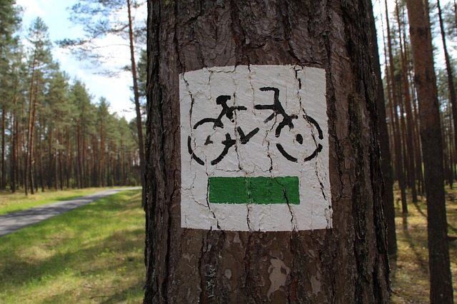 Drzewo z oznaczeniem ścieżki rowerowej images